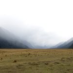 Discovering New Zealand’s Best Beaches: A Guide to the Ultimate Coastal Getaway