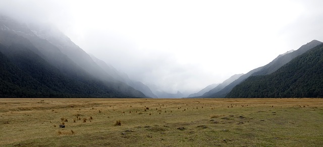 Discovering New Zealand’s Best Beaches: A Guide to the Ultimate Coastal Getaway